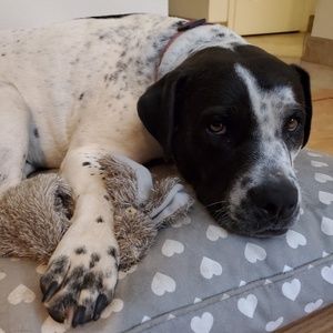 Meet your Posher, Renee